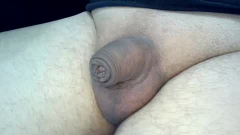 MICA online show from September 14, 2:52 pm