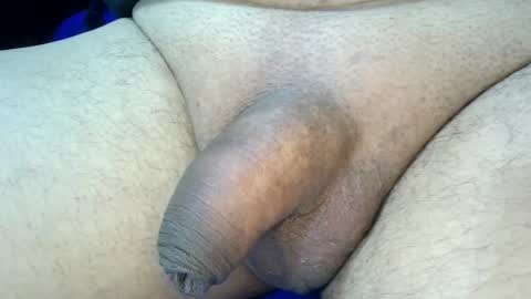 MICA online show from December 12, 1:28 pm