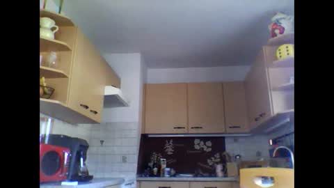 20x5cmgermanlongdong online show from March 2, 7:21 am