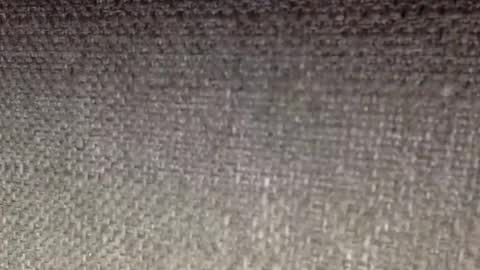 30nick online show from April 19, 8:25 am