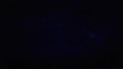 Bet online show from November 23, 7:41 am