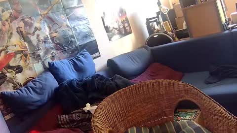 Snapshot of _svenerd87___ chatting on October 6, 11:48 am Sven online show from October 6, 11:48 am
