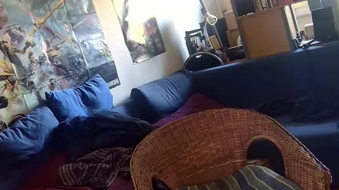 Snapshot of _svenerd87___ chatting on October 2, 7:56 am Sven online show from October 2, 7:56 am