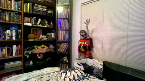 A Bored Dragon online show from January 14, 3:22 am