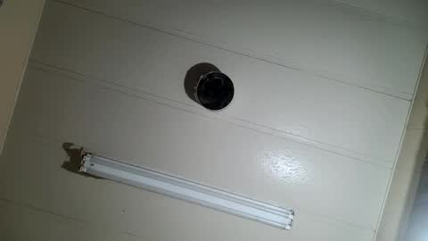 acergod367003 online show from December 31, 8:37 am