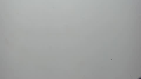 Snapshot of adbel_sady chatting on February 10, 11:15 am adbel sady online show from February 10, 11:15 am