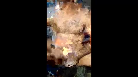 aftermathr3 online show from March 15, 8:37 pm