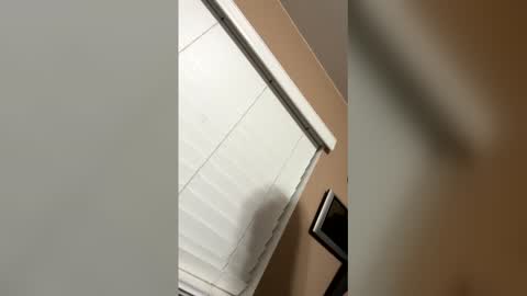 al88ros online show from March 21, 10:09 am