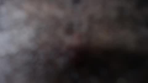 Alan online show from November 14, 2:51 pm