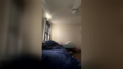 Dinky online show from April 26, 4:04 pm