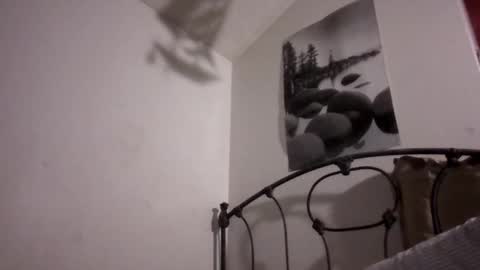 aldosbone online show from March 3, 2:24 pm