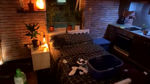 alexlive1 online show from October 13, 10:16 pm