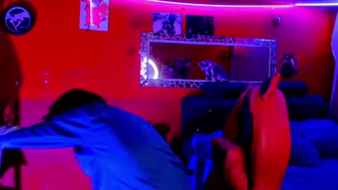 Angel  online show from January 27, 2:10 am