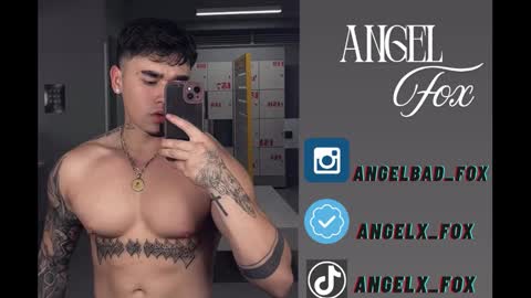 Angel Fox online show from November 26, 3:31 am