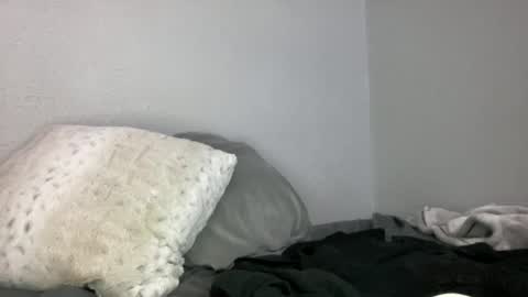 Animeboygirls online show from July 25, 3:58 am