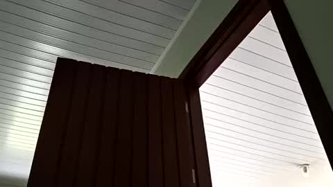 Lucas online show from February 12, 5:26 pm