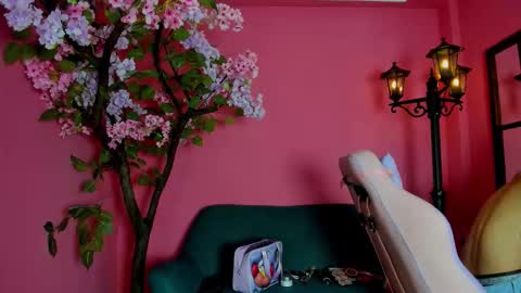 Arohom Lester online show from February 28, 7:02 pm