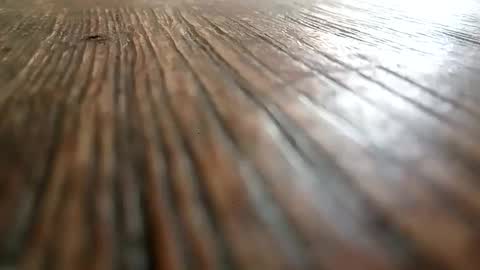 auzzieguy33 online show from September 28, 4:54 am