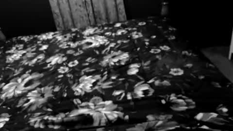 Badsanta73 online show from November 10, 12:54 pm