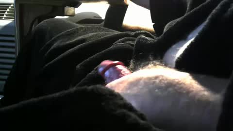 bear4146 online show from February 8, 3:31 pm