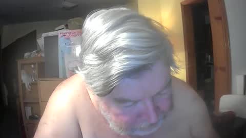 bear online show from April 27, 2:41 am