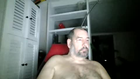 Snapshot of bearacuda555 chatting on December 7, 10:34 am Bruno online show from December 7, 10:34 am