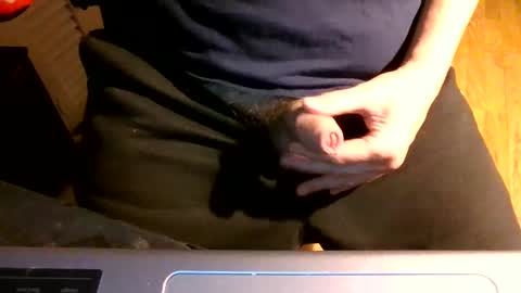 Snapshot of bearacuda555 chatting on February 24, 4:49 am Bruno online show from February 24, 4:49 am