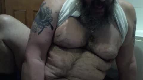 bearsteve75 online show from November 16, 3:36 pm