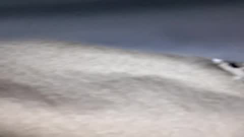 BennyC online show from April 20, 3:42 am