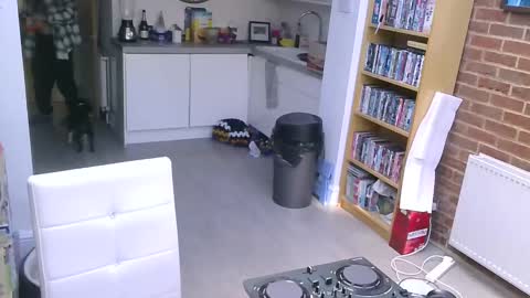 BerkshireB online show from February 6, 12:16 pm