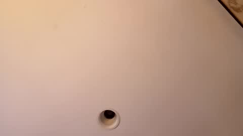 bgiamba21 online show from October 24, 4:14 am