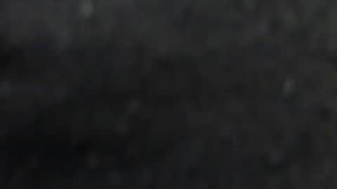 Bibbo88 online show from February 9, 3:56 pm