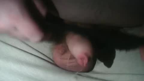 bigbossbear online show from March 14, 10:39 pm