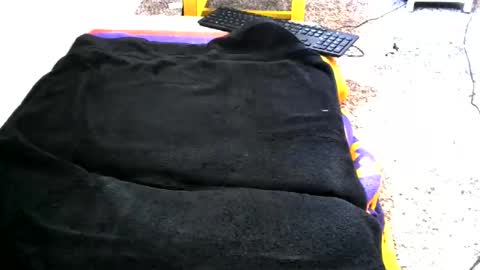 bigboybigbutt69 online show from May 29, 9:25 pm