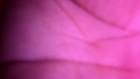 Snapshot of bigdickboogietx chatting on October 5, 7:40 pm bigdickboogietx online show from October 5, 7:40 pm