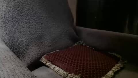 bigdickdaddy567130413 online show from October 19, 10:07 am