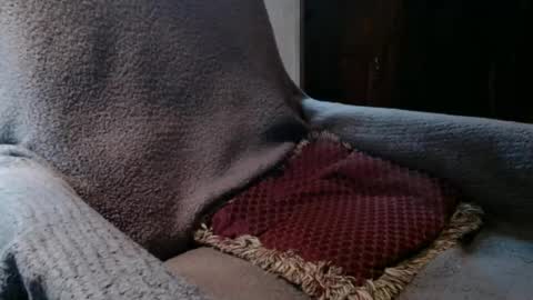 bigdickdaddy567130413 online show from June 27, 12:22 pm