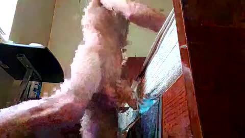 Snapshot of biggdaddyy5 chatting on March 7, 4:44 pm biggdaddyy5 online show from March 7, 4:44 pm