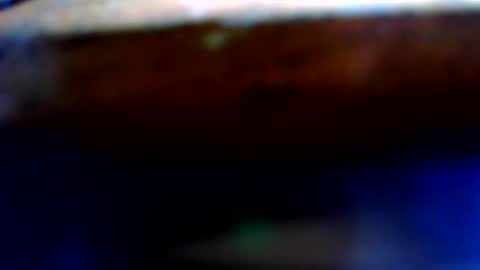 bigjack228787 online show from October 28, 7:05 pm