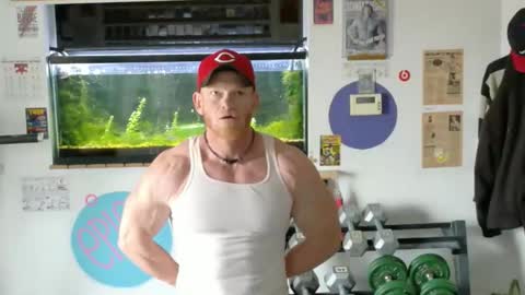 Jarvis online show from November 28, 4:31 pm