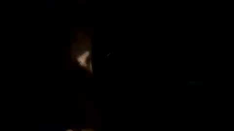 Snapshot of bigwalkdog12 chatting on December 6, 5:53 am Floppyphallus online show from December 6, 5:53 am