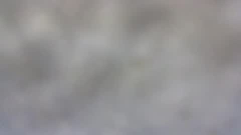 Snapshot of billmenow141 chatting on February 8, 8:31 am billmenow141 online show from February 8, 8:31 am