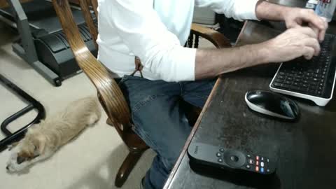 billy471 online show from December 3, 12:00 am