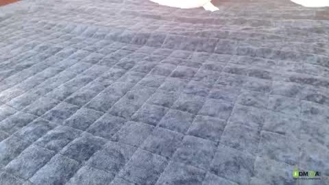 Bill online show from April 23, 11:59 am