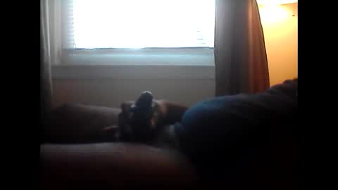 Snapshot of bkbornny chatting on January 27, 8:07 pm sugadaddy online show from January 27, 8:07 pm
