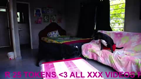 Black Panther online show from April 22, 11:37 am