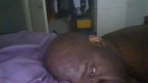 blackteddybear online show from March 9, 5:51 pm