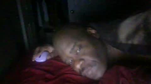 blackteddybear online show from February 21, 11:33 am