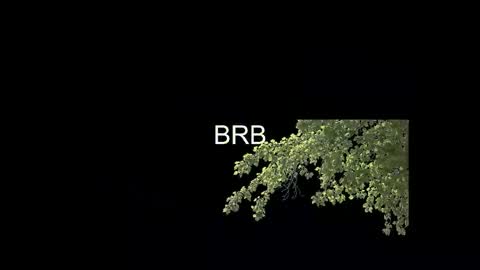 SONNYVAN online show from January 14, 10:24 pm