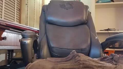 harry cockins online show from December 11, 5:33 am